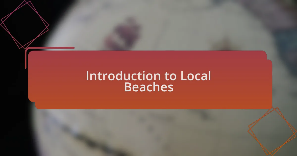 Introduction to Local Beaches